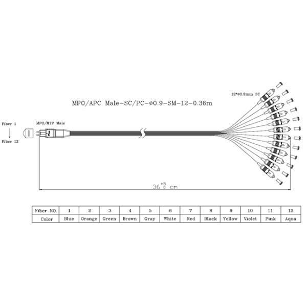 0.9mm 12 Fiber Fan Out Optic Patch Cord MPO MTP Cable with Customizable Length