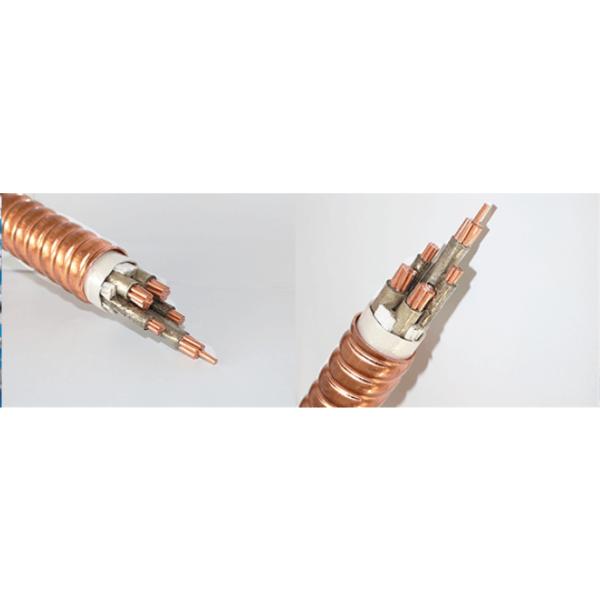 YTTW BTTZ 300 Sq Xlpe Cable , Solid Copper Fire Proof Cable 3×185+2×95