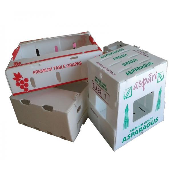 PP Coroplast Packaging Box Corrugated Plastic Sheet Boxes