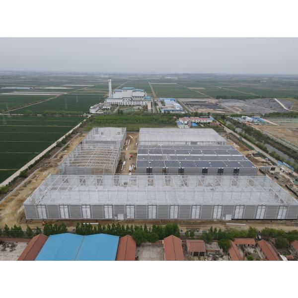 Diverse Fields Steel Structure Buildings
