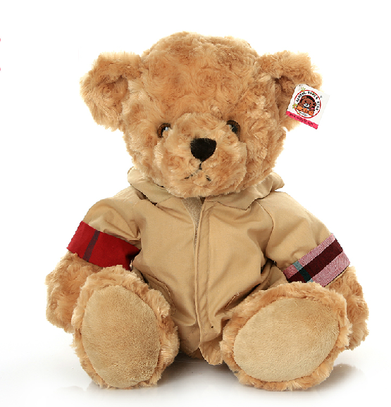 wearing a coat teddy bear