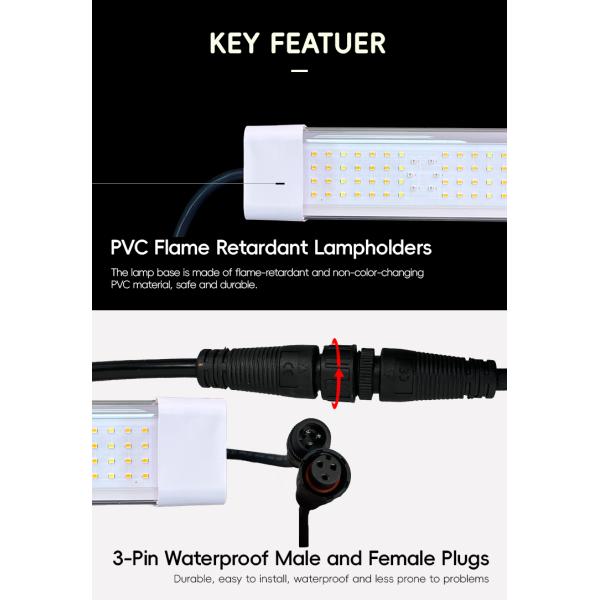 Customized Full Spectrum Dimmable 120W 150W 4Ft Grow Light Under Inter Canopy LED for Micro-green