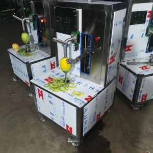 Continuous Small Scale Groundnut Paste Processing Colloid Mill Plant Sesame