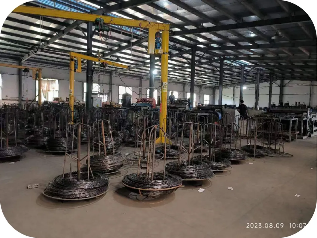 Galvanized Construction Chicken Farm H Type Layer Cage With Automatic Egg Collection