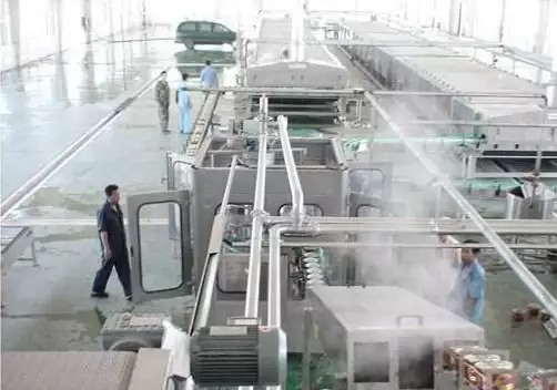 High Performance Customized Ginger Processing Line Carrot/Ginger/Beet Production Plant Machine For Vegetable Industry With PLC