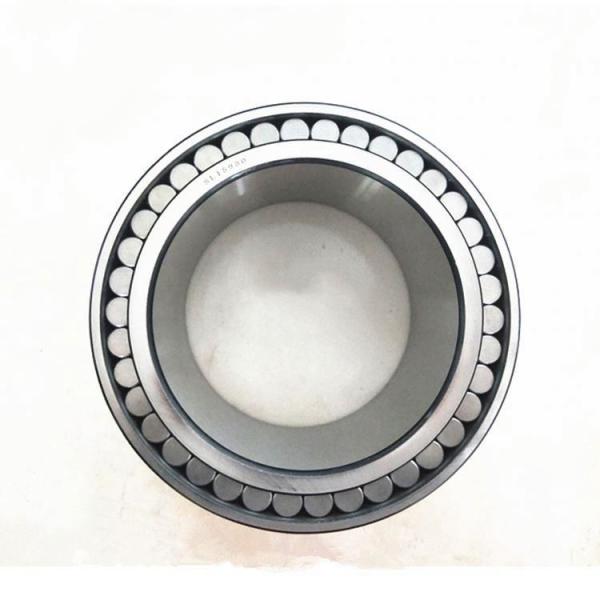 SL04 5005 SL045005-D-PP Full Complement Cylindrical Roller Bearing Sl Types