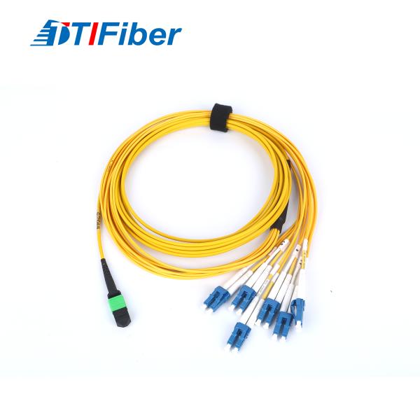 12 Core Singlemode G657A Fiber Optic Patch Cord MPO LC OFNR Fan Out