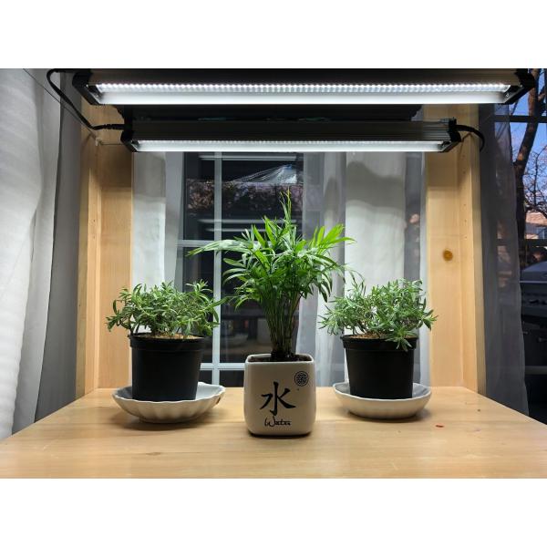 T5 Tabletop Grow Lights