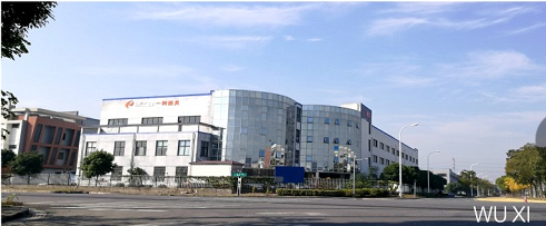 Custom Size PE Material Wood Plastic Composite Wall Panel for WPC Cladding Boards