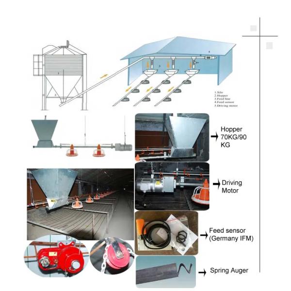 Complete Automatic Poultry Farm Equipment Broiler Chicken Cage T607 Controller
