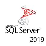 China Digital Download Microsoft SQL Server 2019 Standard License Email Delivery for sale