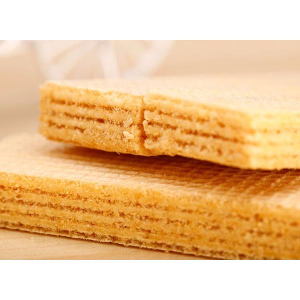 Wafer making machine