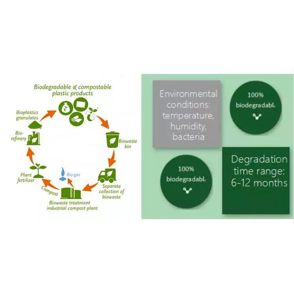 Restaurants Biodegradable Compostable PLA Plastic Bags