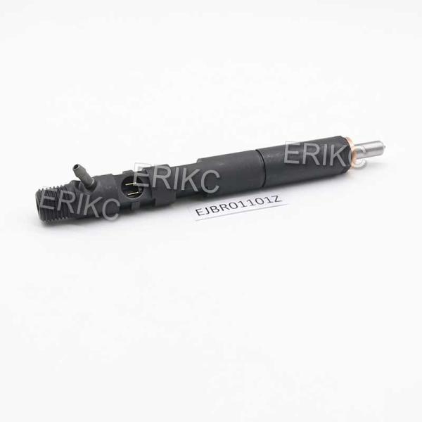 ERIKC EJBR01101Z Electronic Unit Injectors EJB R01101Z Auto Fuel Injection EJBR0 1101Z For Delp