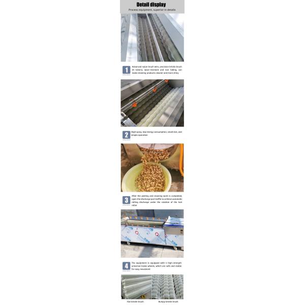 vegetable cleaning machine automatic Peeling Machine fruit vegetable potato washing cleaning line machine