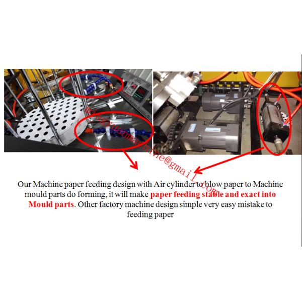 3KW High Efficiency Paper Plate Making Machine With Multi Working Station
