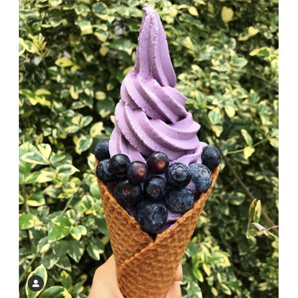 Double Head Ice Cream Base Egg Roll Pizza Cone Waffle Cone Maker Waffle Maker