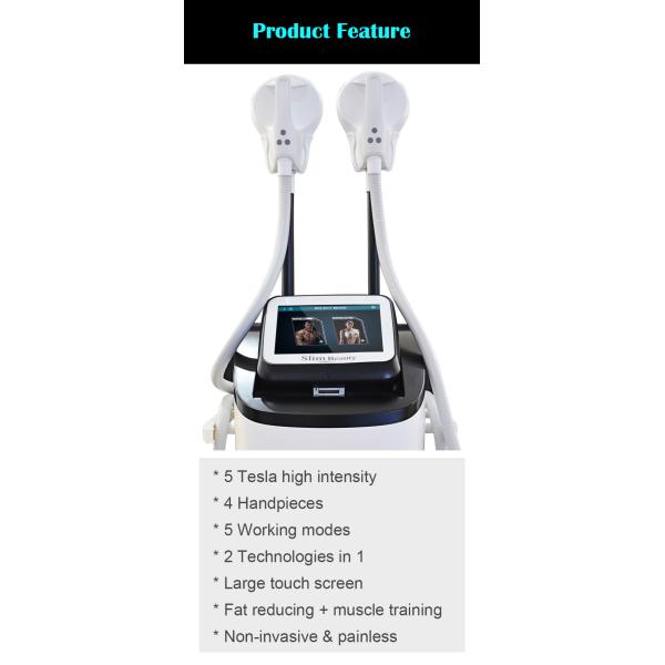 Body Sculpting Cryolipolysis Fat Freezing Machine