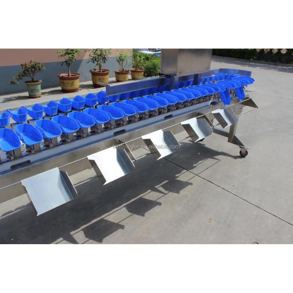 Streamline Your Oyster Fish Sorting Process with Multi-Tray Weight Sorting Machine