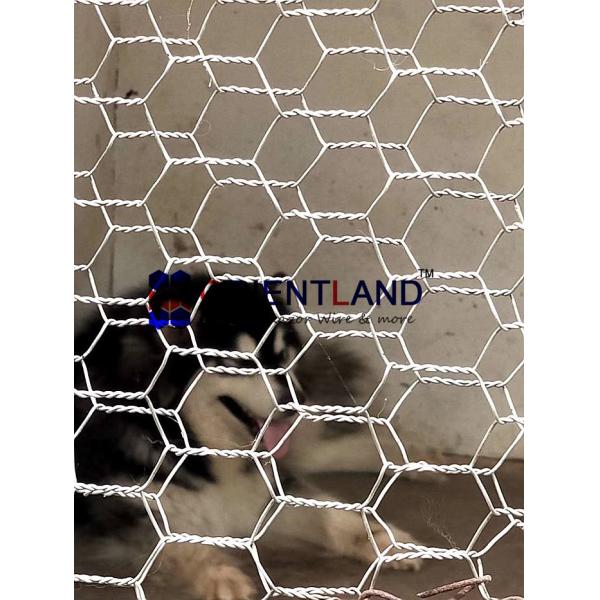 Galvanised Chicken Hexagonal Wire Netting 30m Roll 1 Inch Aperture