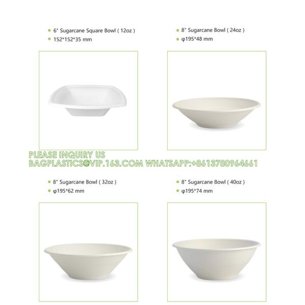 Biodegradable Disposable Compostable Sugarcane Bagasse Food Container Paper Pulp Bowl 12oz 24oz 32oz Round Salad