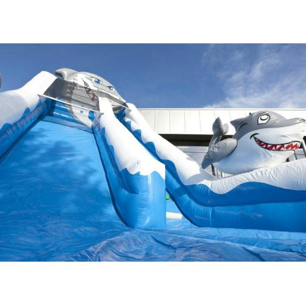 Amusement Park Large Inflatable Slide Hire Blue Shark Inflatable Slide Safe Nontoxic
