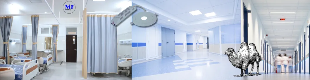 IP43 LED Emergency Spot Ceiling Down Light 3W Recessed Mount Downlights