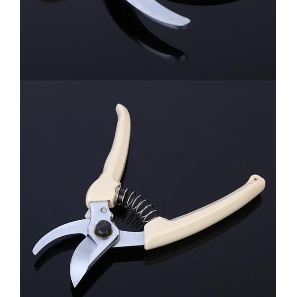 SK5 Manual Pruning Shears Bypass For Garden Fruit Tree OEM ODM