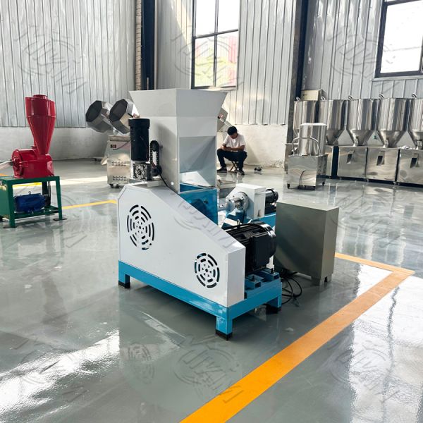 120kg/h Homemade Dog Food Extruder machine Floating Fish Feed Extruder Pet Dog Food Cat Food Feed Pellet Machine for Sale