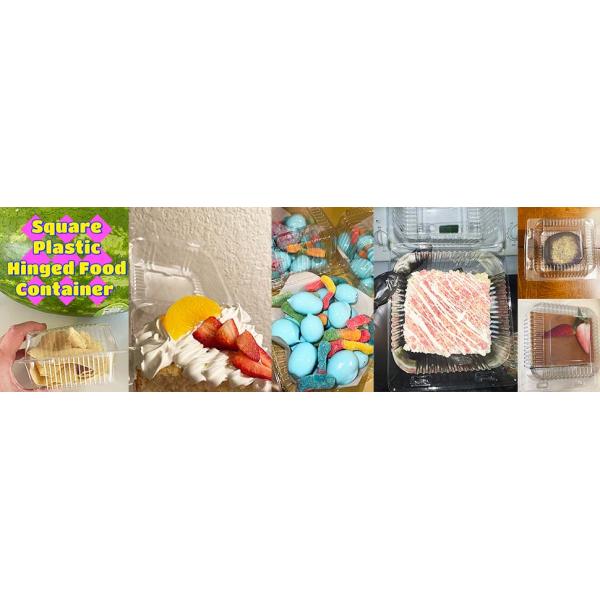 Clear Plastic Take Out Containers,Disposable Clamshell Dessert Container With Lid, For Salads, Pasta, Sandwiches
