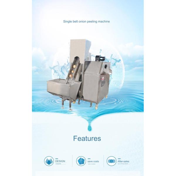 Advanced Onion Garlic Peeling Machine for Processing Types Vegetable Process Equipment