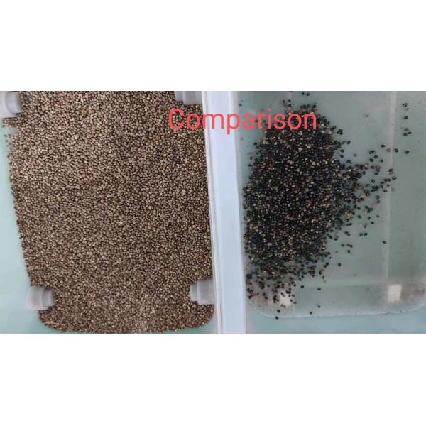 High Precision Coriander Seed Sorting Machine 200kg/h Throughput