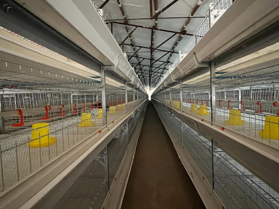 Real Time Energy Efficient Automatic Poultry Environment Controller for Chicken House