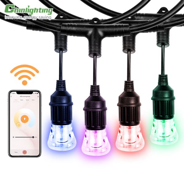 Smart WIFI 24ft Outdoor Bulb String Lights Hanging Garden Light Bulbs