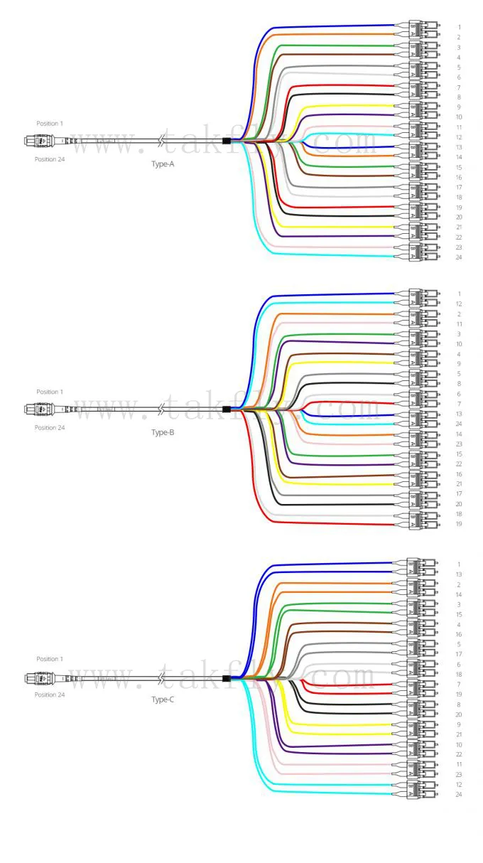 12 Core Single Mode MPO to LC Patch Cord