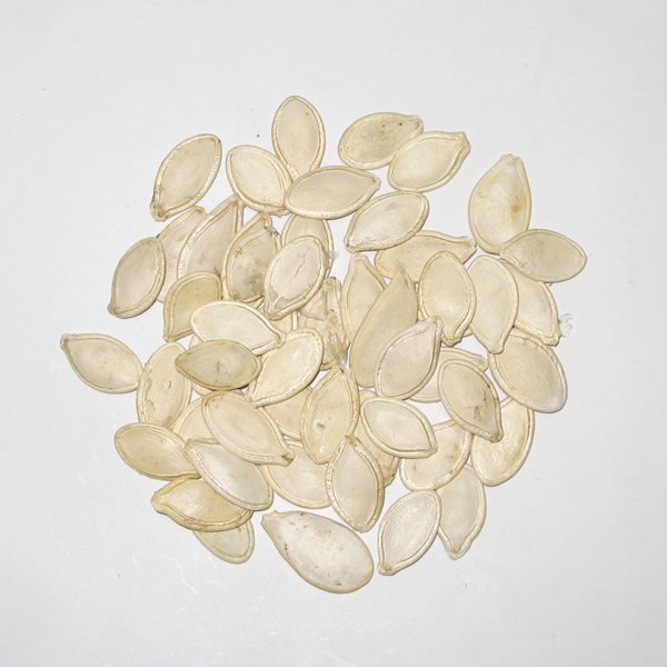 Multi-Function Coffee Bean Color Sorter High-Efficiency Optical Sorter for Nuts, Beans and Dehydrated Veggies