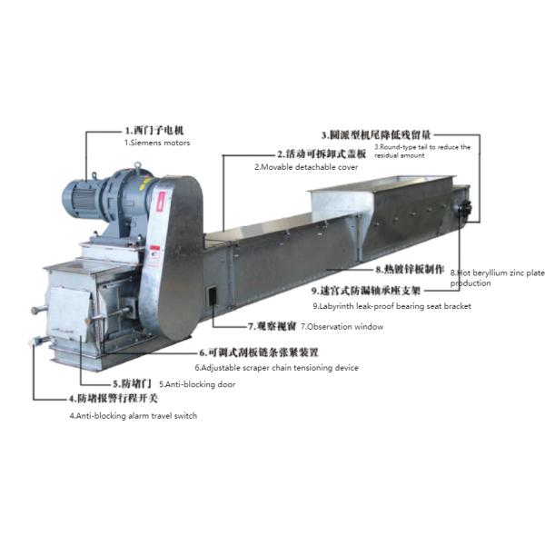 Customizable Chain Conveyor for Different Industries Horizontal Transportation