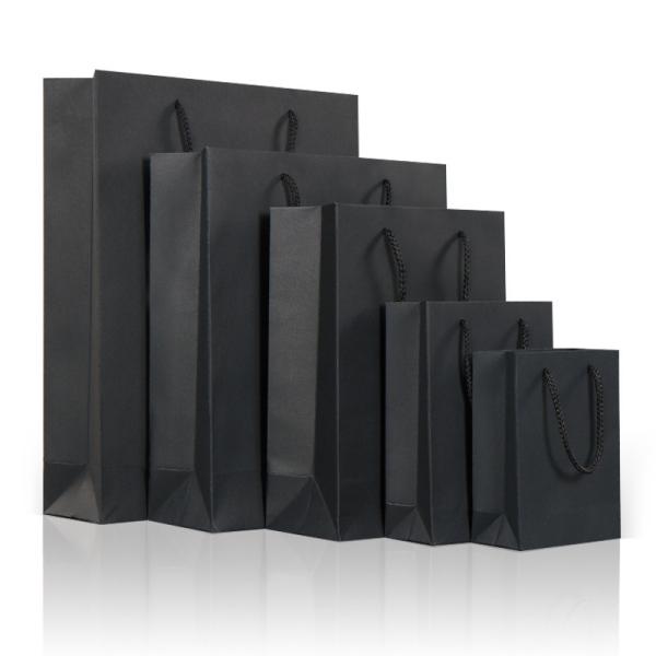 Custom Printing Biodegradable Paper Gift Handbag for Eco-Friendly Packaging Solutions