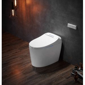 Advanced Function Automatic Deodorization Toilet Integrated Multi-Function