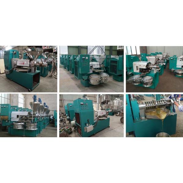 Customized Request Mustard Oil Pressing Machine Full Automatic Screw Squeezed Press