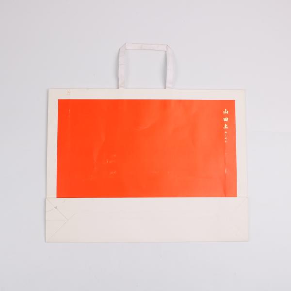 Coated Paper Custom Printed Gift Bags With Handle Offset printing