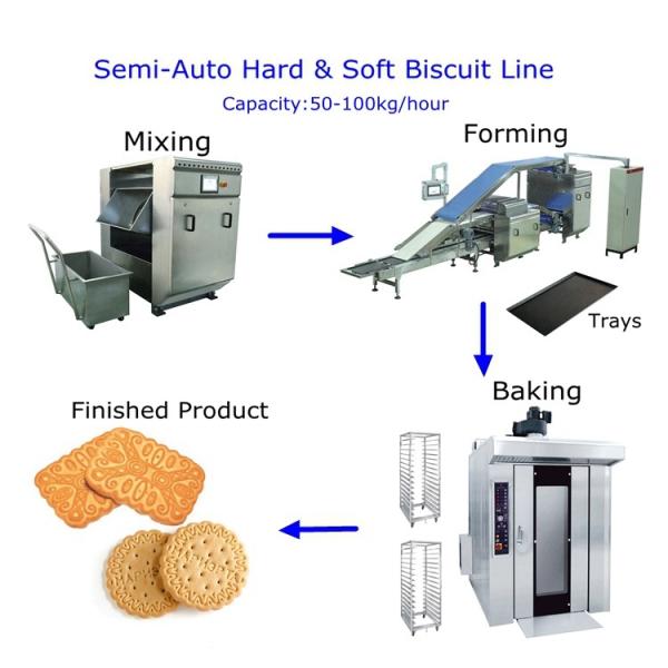 Small Semi Auto Soft Biscuit Production Line For Bakery