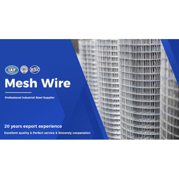 Wire Mesh Grid Panel Galvanized PVC Hexagonal Wire Mesh Gabion Wire Mesh Roll Request Wire Gauge
