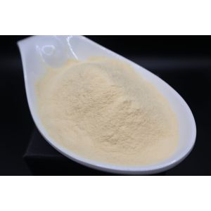 China OMRI Certified Enzyme Amino Acid with Essential Amino Enzyme and 100,000 U/g Enzyme Activity for Optimal Digestion on sale