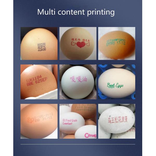 Ink Type Eco Solvent Ink Industry Smart Automatic Egg Date Stamp Printing Machine