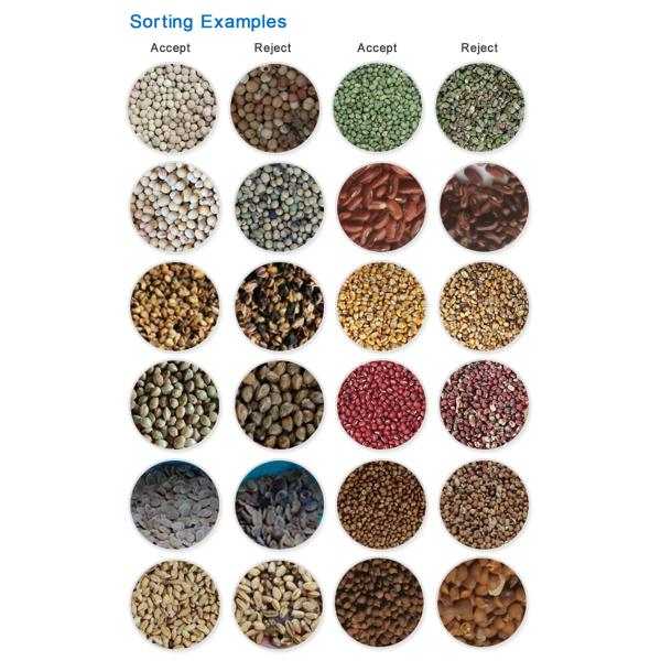 High Sorting Accuracy Lentil Color Sorter Beans Color Sorting Machine