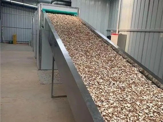 Vegetable Cassava Belt Dryer Medicinal Drying Machine Automatic