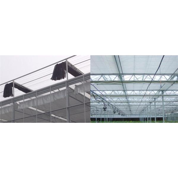 Stable Structure Agricultural Multi Span Greenhouse 30-100m Length