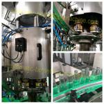 Non Gas Liquid Glass Bottle Filling Machine High Automatization Hot Filling