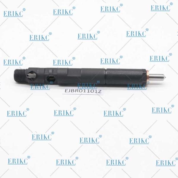ERIKC EJBR01101Z Electronic Unit Injectors EJB R01101Z Auto Fuel Injection EJBR0 1101Z For Delp